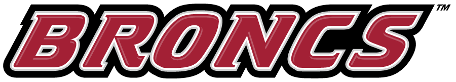 Rider Broncs 2007-Pres Wordmark Logo diy DTF decal sticker